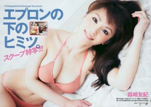 綾瀬はるか 中島愛里 SKE48 甲斐まり恵 梅宮万紗子 森崎友纪 [Weekly Playboy] 2010年No.30 写真杂志