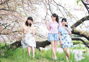 Rina Asakawa Marina Nagasawa TrySail [Young Animal] 2016 No.11 照片森