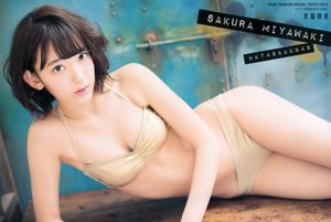 [Jovem Campeão] Sakura Miyawaki Jun Amaki 2015 No.11 Fotografia