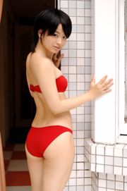 [DGC] NO.336山口光（Hikari Yamaguchi）山口光（Hikari Yamaguchi）現在就新鮮採摘了！